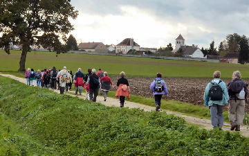 le groupe en promenade